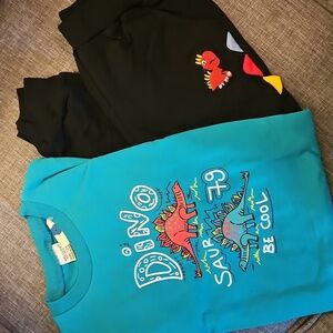 NWT...Sweatshirt + Pants Dinosaur Theme 2 pieces.     Size 120 or 5T
